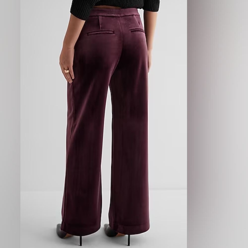 EXPRESS: Mid-Rise Velvet Relaxed Trousers - Picture 2 of 10